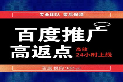 百度竞价排名服务：成功案例解析